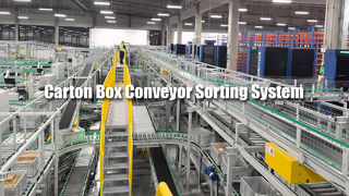 نظام فرز علب الكرتون الناقل 02