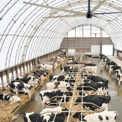 مروحة سقف HVLS الصناعية الكبيرة لمروحة ورشة العمل الكبيرة في المصنع