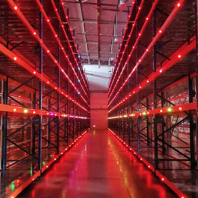 قطع غيار السيارات 2.5T الحمولة الكهربائية المتنقلة رف مع السكة الحديدية الموجهة